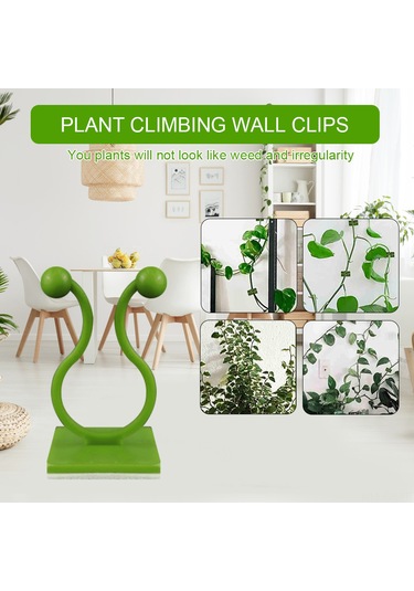 Singree Bitkiler İçin Yapışkanlı Duvar Askısı - 50 Adet Abs Malzeme, Çok Amaçlı Kullanım