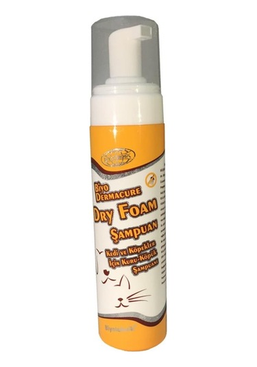 Biyoteknik Dry Foam Şampuan 250 ML