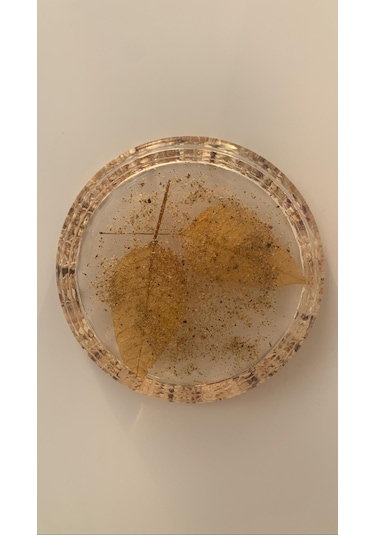 Deniz Kumlu Ve Kabuklu Kurutulmuş Yapraklı Epoksi Bardak Altlığı Şeffaf