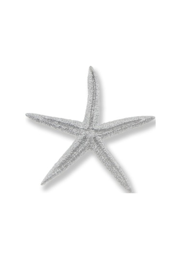 Mutluadim 24 Adet Deniz Yıldızı Biblo