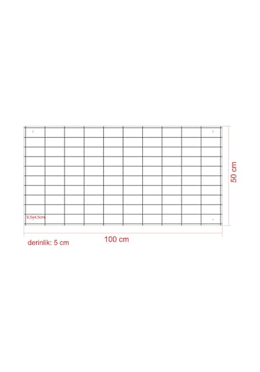 Hobi Araba Rafı 100 Araçlık Akçaağaç Kişiye Özel Isimli