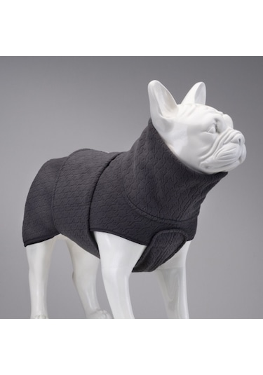 Ashen Grey Küçük, Orta Ve Büyük Irk Köpek Poları