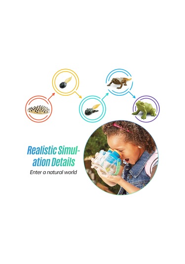 Yifomall 25 Adet Hayvan Büyüme Döngüsü Modeli + 25 Kart - Çocuklar İçin Doğa Bilgisi Eğitici Öğretim Aracı Kelebek, Kurbağa, Arı, Böcek, Deniz Kaplumbağası, Yavru Penguen