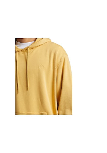 Quiksilver Salt Water Hoodie Erkek Sweatshirt Renkli