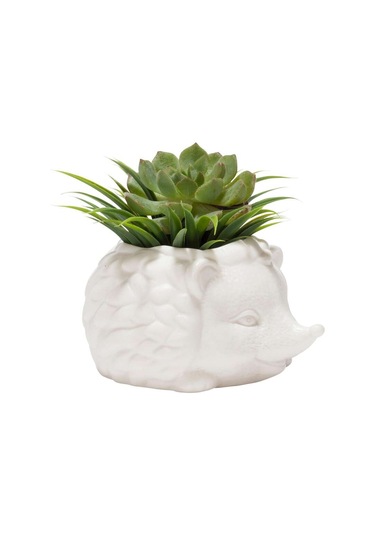 Kikkerland Prıckles The Hedgehog Planter Seramik Kirpi Saksı
