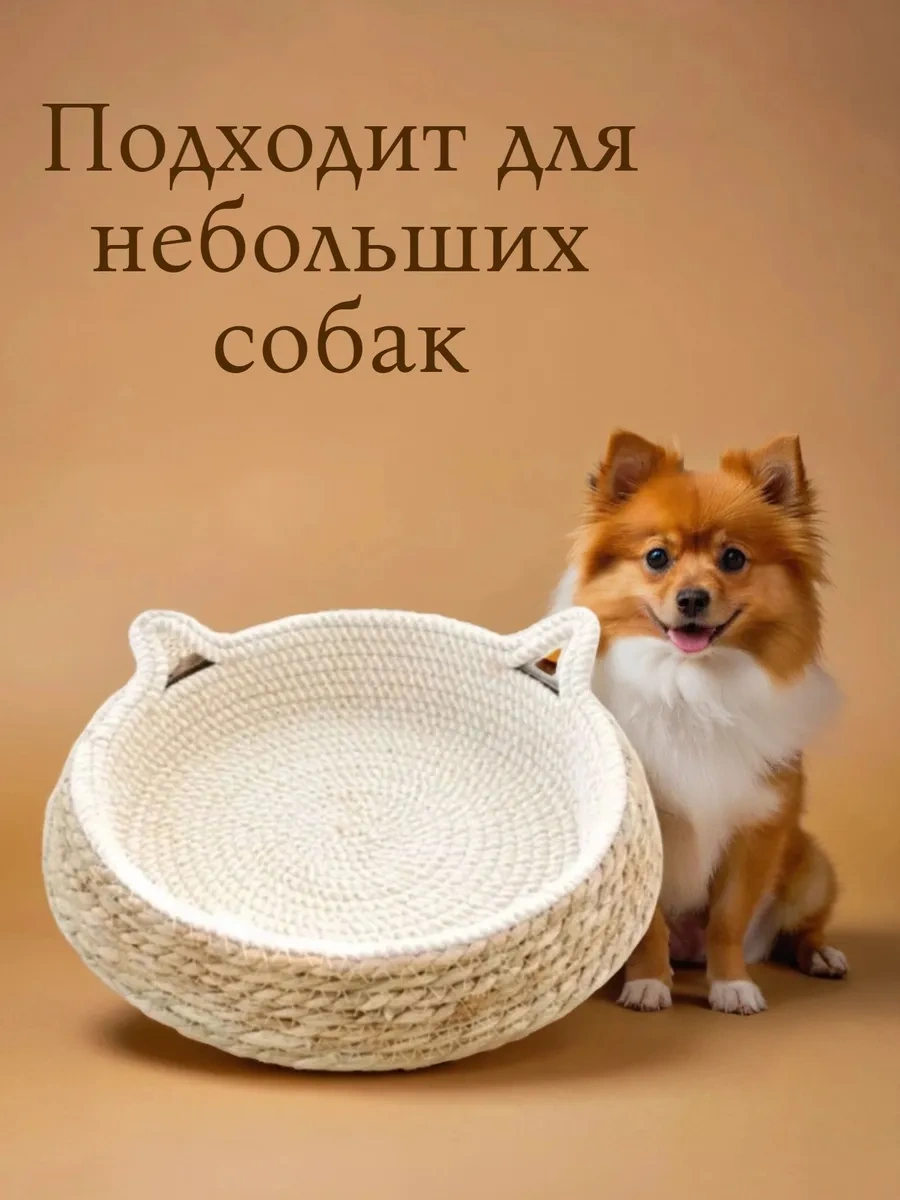 Vektorı Kediler Ve Köpekler İçin Tırmalama Yatak 463851795