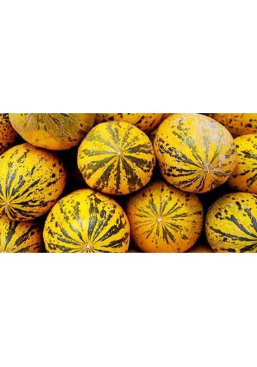 Süper Paket 350 Tohum Meşhur Altınbaş Manisa Kavunu Tohumu Kavun Tohumu