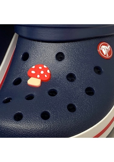 Crocs Terlik Süsü & Renkli Aksesuar Jibbitz (474781713) Çok Renkli