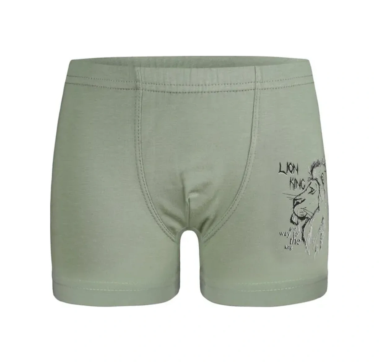 Donella 5 Adet Çocuk Külotu Seti 388120021 Gri