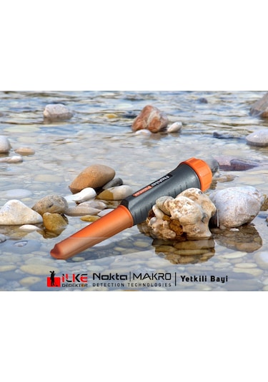 Nokta Pointer N11.129