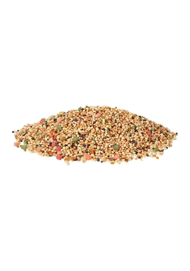 Derya Eren Karışık Renkli Muhabbet Kuş Yemi 100 G