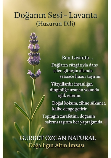 Lavanta Yağı %100 Saf Doğal Seyreltilmemiş Lavender Oil 10ml
