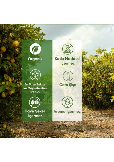 Organik Ek Gıda Mango-go 100 G