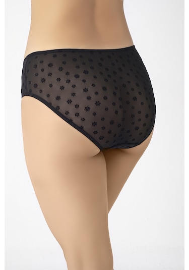 Transparan Kumaş Bikini Kesim Kadın Külot Siyah
