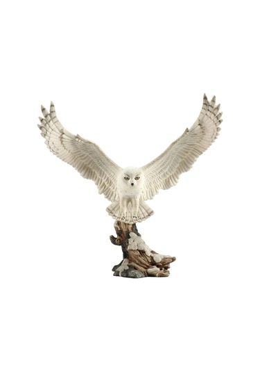 Uçan Beyaz Kar Baykuşu Biblosu