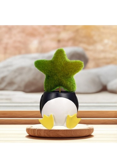 Pazly Yaratıcı Suntek Sukulent Saksısı Penguen Mini Bitki 10cmx9cm 10cmx9cm