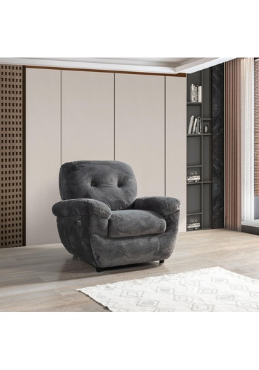 Royal Tv Koltuğu Rehome Royal Berjer 115x90x105 Cm Antrasit