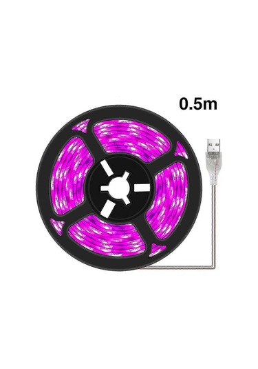 Bitki Işık Şeritleri - İç Mekan Bitkileri, Sukulentler, Hidro Çok Renkli