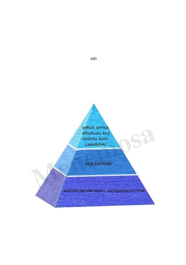 No:451 Unisex Fresh Deodorant 150ml - Mnms451deo