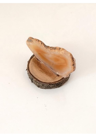 Doğal Taş Plaka Akik Ahşap Standlı Dekoratif Obje Biblo Traverten 16983