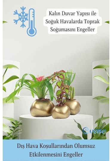 Saksı Çiçek Kaktüs Saksısı Lüx 14 Cm Elips Desenli 3'lü Set Çiçeklik - Altın Eskitme