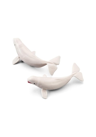 Deniz Hayvanları 3d Standlı Hayvan