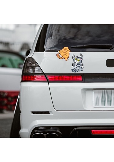 Araba Çıkartmaları Havalı Araba Çıkartmaları Komik Evcil Hayvan Kedi Çıkartmaları M