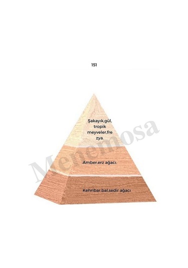 Bargello 151 Kadın Parfüm EDP 50 ML -mnms50151 Aromatik