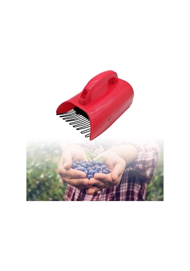 Suntek Lingonberries Için Metal Taraklı Kırmızı Meyve