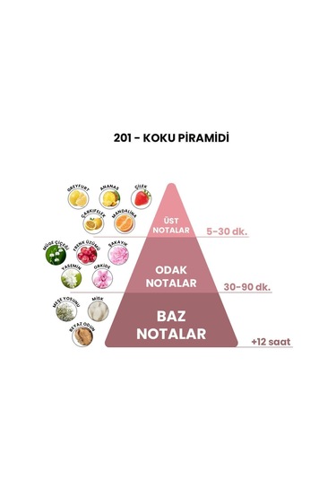 BEX 201 Kadın Parfüm EDP 50 ML