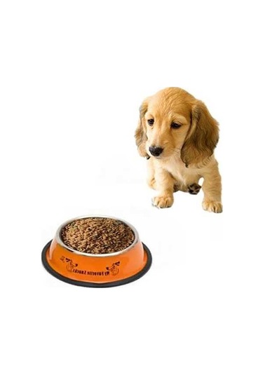 Dm Cbtx Paslanmaz Çelik Kase 25.5 Cm - Kaymaz Renkli Baskılı Tasarım