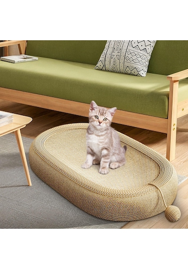 Suntek Küçük Orta Kedi Evcil Hayvan Doğum Günü Büyük