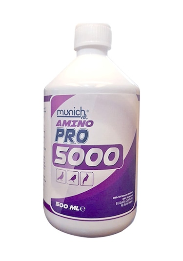 Amino Asit Pro 5000 500 Ml