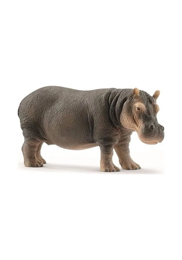 Schleich Wild Life Figür Su Aygırı Cwl14814