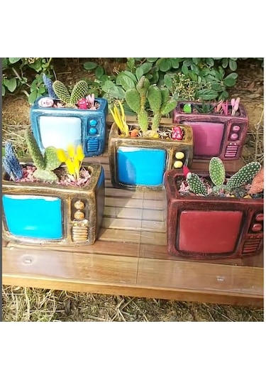Dekoratif Tv Saksı