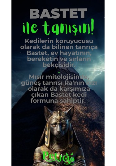 Petjoo 1.Bastet Yeşil-Gri Qr'lı Kedi Künyesi