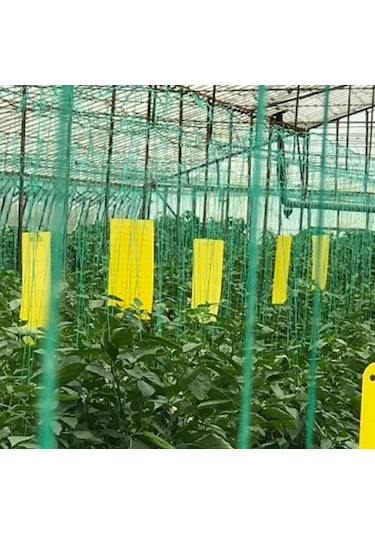 Sarı Yapışkan Levha Tuzak 25 40