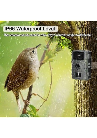 Maoyaya -16mp 1080p Gündüz/gece Kamera, Kamuflajlı Kamera, Yüksek Kalite Video Kamuflaj