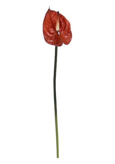 Yapay Antoryum Çiçeği Canlı Dokunuş Kahverengi 40 Cm-9976