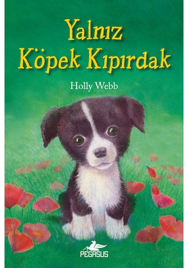 Yalnız Köpek Kıpırdak
