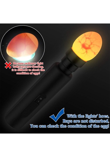 Qingmipy Led Soğuk Işık Yumurta Test Cihazı Tavuk Ördek Kaz Yumurtası Gelişim Kontrolü 100-240v Amerikan Standartı