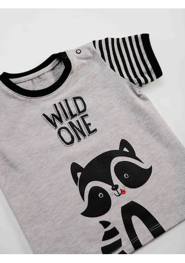 Denokids Rakun Erkek Bebek T-shirt Kısa Pantolon Takım Gri