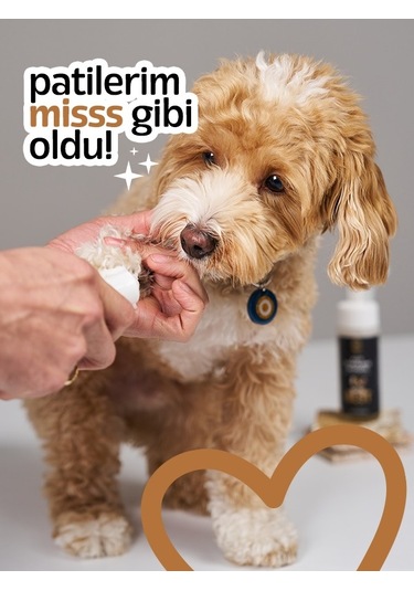 Doku Pet Cosmetic Kedi Ve Köpek Pati Temizleme Köpüğü 150 ML