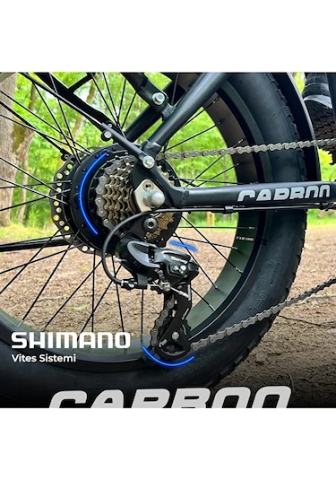 OLA Electrofold EFD1 Carbon Design Katlanabilir Elektrikli Bisiklet 20”