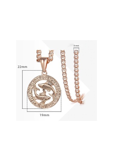 Saatcaddesi Pigado Astroloji Burçlar Kolye Rose Renk Özel Kutusunda Metal