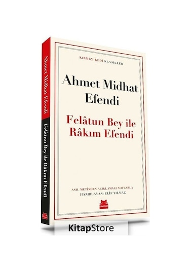 Felatun Bey ile Rakım Efendi / Ahmet Mithat Efendi N11.1290