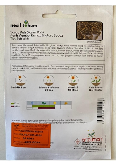 Kasımpatı Çiçek Tohumu SaraypatıKasım Patı 50 Adet