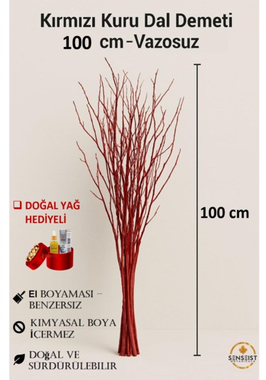 Gerçek Kurutulmuş Ağaç Dal Demeti Kırmızı El Boyaması 100 Cm