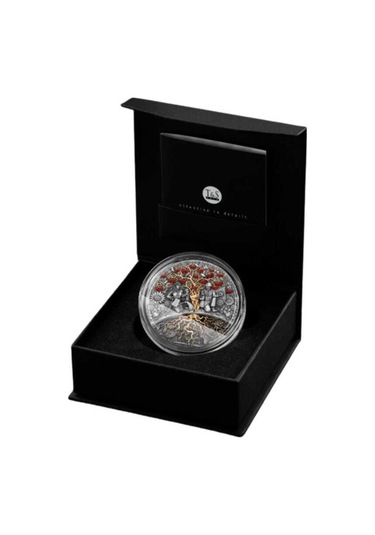 AgaKulche Chervona Kalina Birlik ve Güç Gümüş Sikke Coin