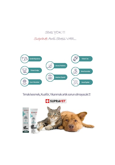 s Relax Paste Sakinleştirici Kedi Macunu 100 gr (Şekersiz ) ( %55 Extra Malt )
